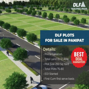 Dlf Panipat Plot Rate