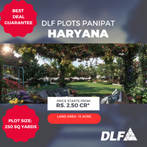 DLF Plots in Panipat